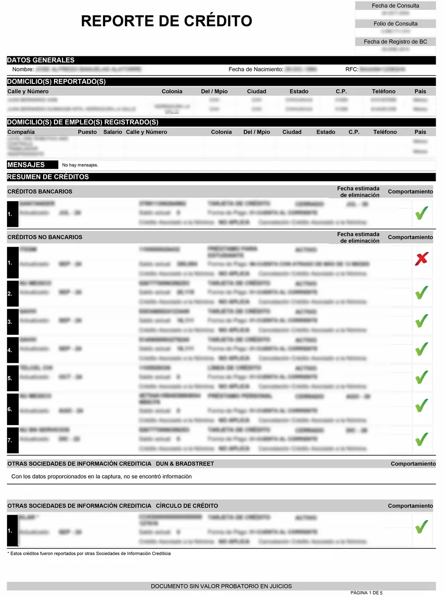 Página 1 del Reporte Especial: resumen de créditos, una fila por cuenta con saldo y forma de pago.