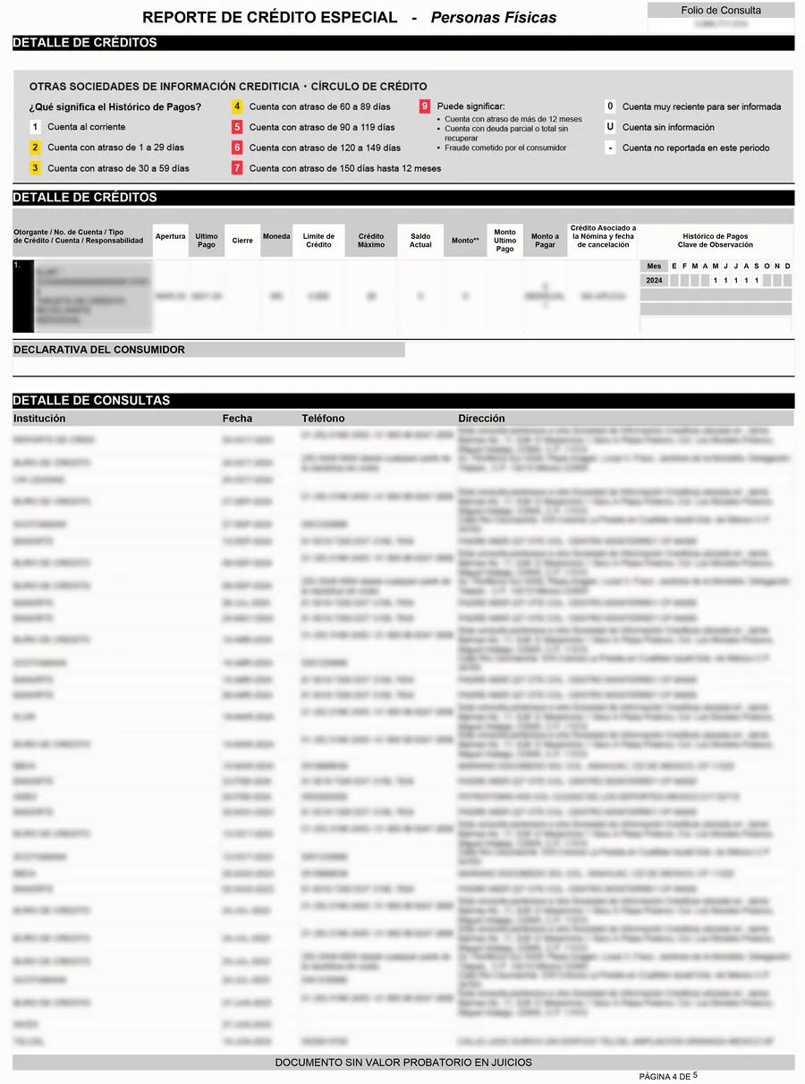 Página 4: detalle de consultas, con decenas de filas de instituciones que consultaron el historial.